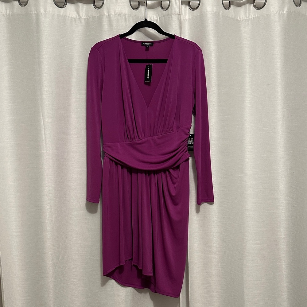 Express Long Sleeve Purple Dress